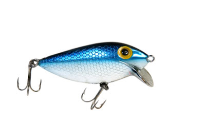 Recreational Fishing